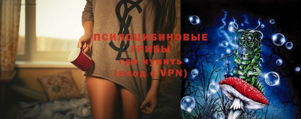 спиды Ельня