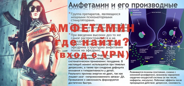 спиды Ельня