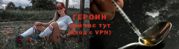 спиды Ельня