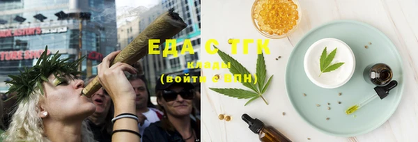спиды Ельня