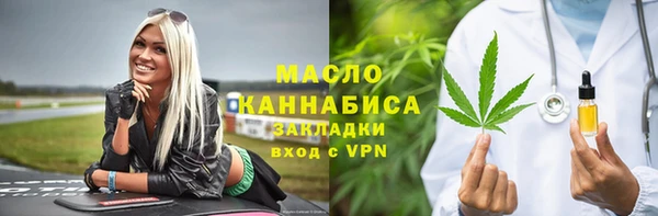 спиды Ельня