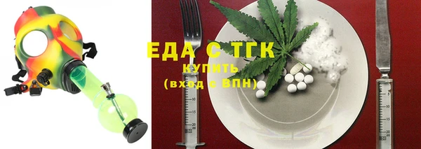 спиды Ельня