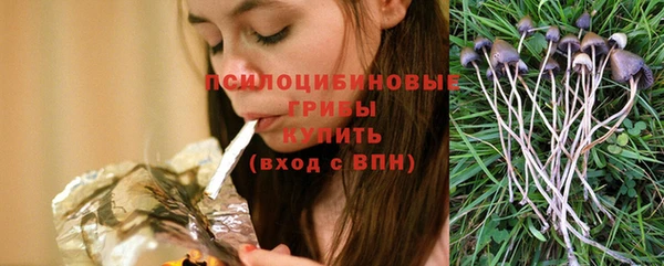 эйфоретик Елизово