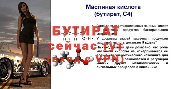 спиды Ельня