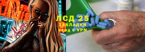 спиды Ельня