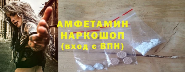спиды Ельня