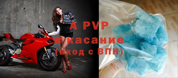 спиды Ельня