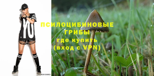 эйфоретик Елизово